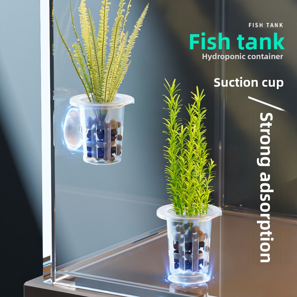 Plant Aquarium Pot - 10 pots hydroponiques transparents en plastique