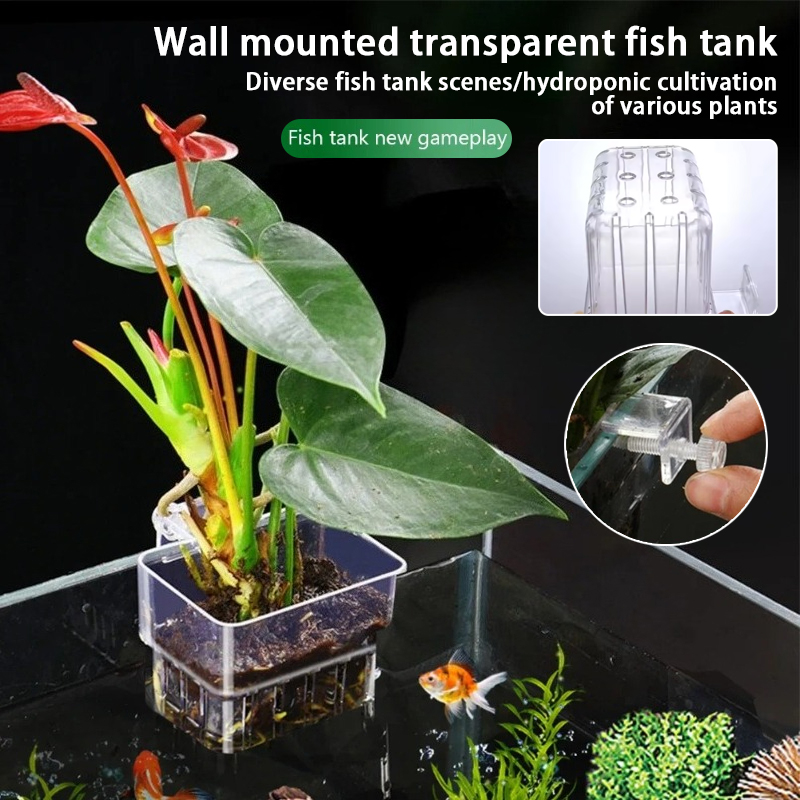Plant Aquarium Pot - Pots suspendus pour aquarium, supports muraux