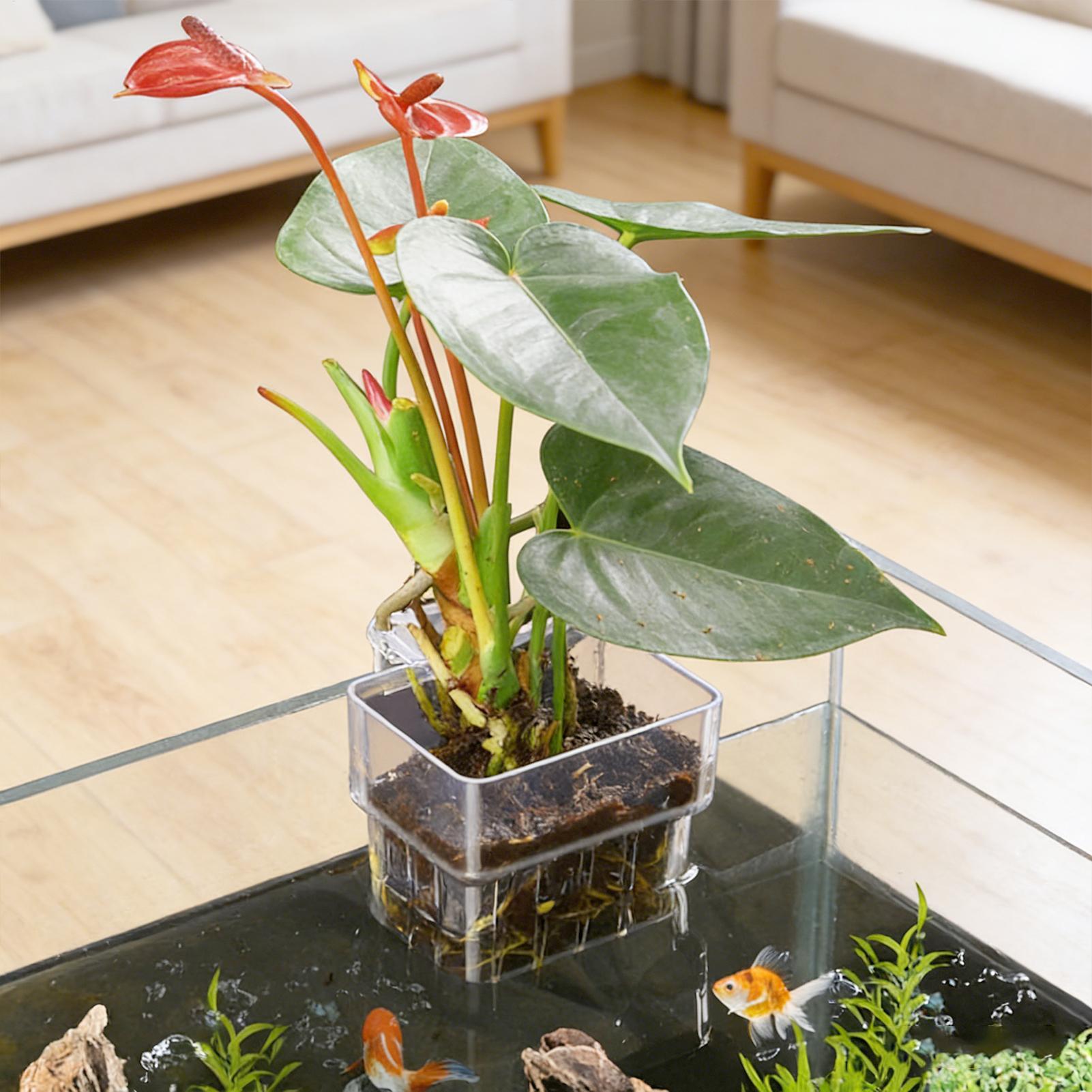 Plant Aquarium Pot - Panier pour plantes d'aquarium, décorations suspendues