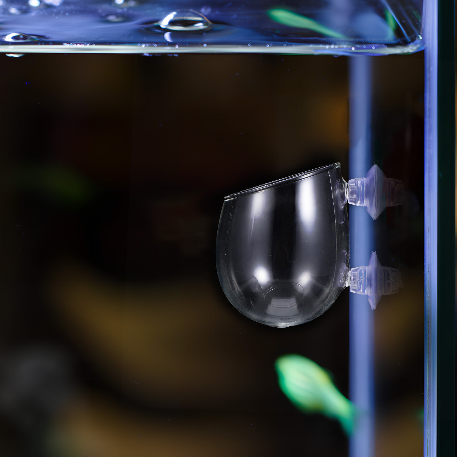 Live Plant Aquarium - Supports pour plantes d'aquarium, 2 pièces,
