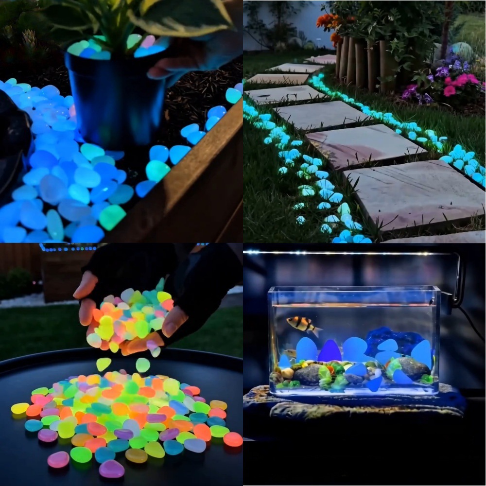 Plant Aquarium Pot - Galets lumineux colorés qui brillent dans