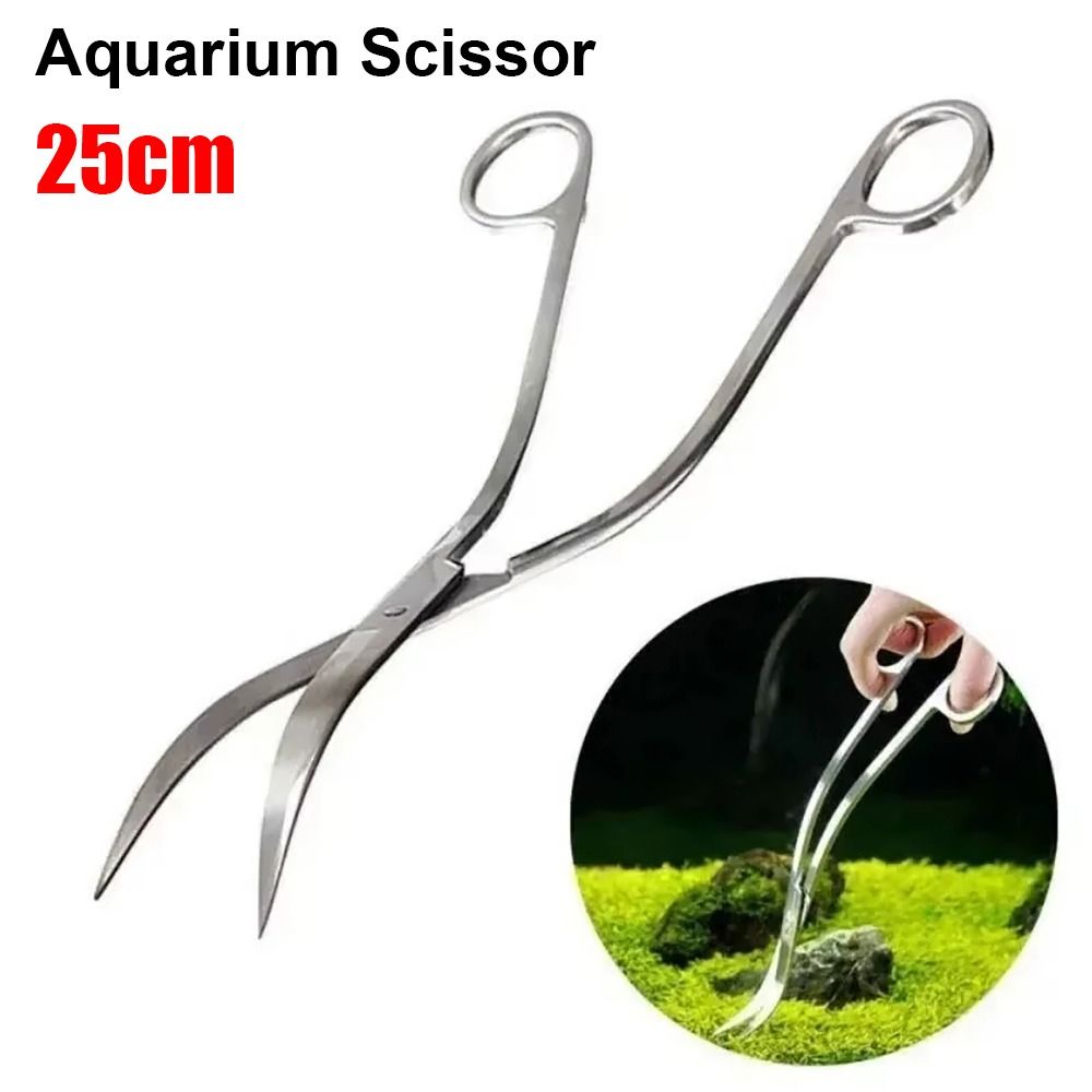 Planted Aquarium Cleaning - 1 pièce Ciseaux d'aquarium en acier