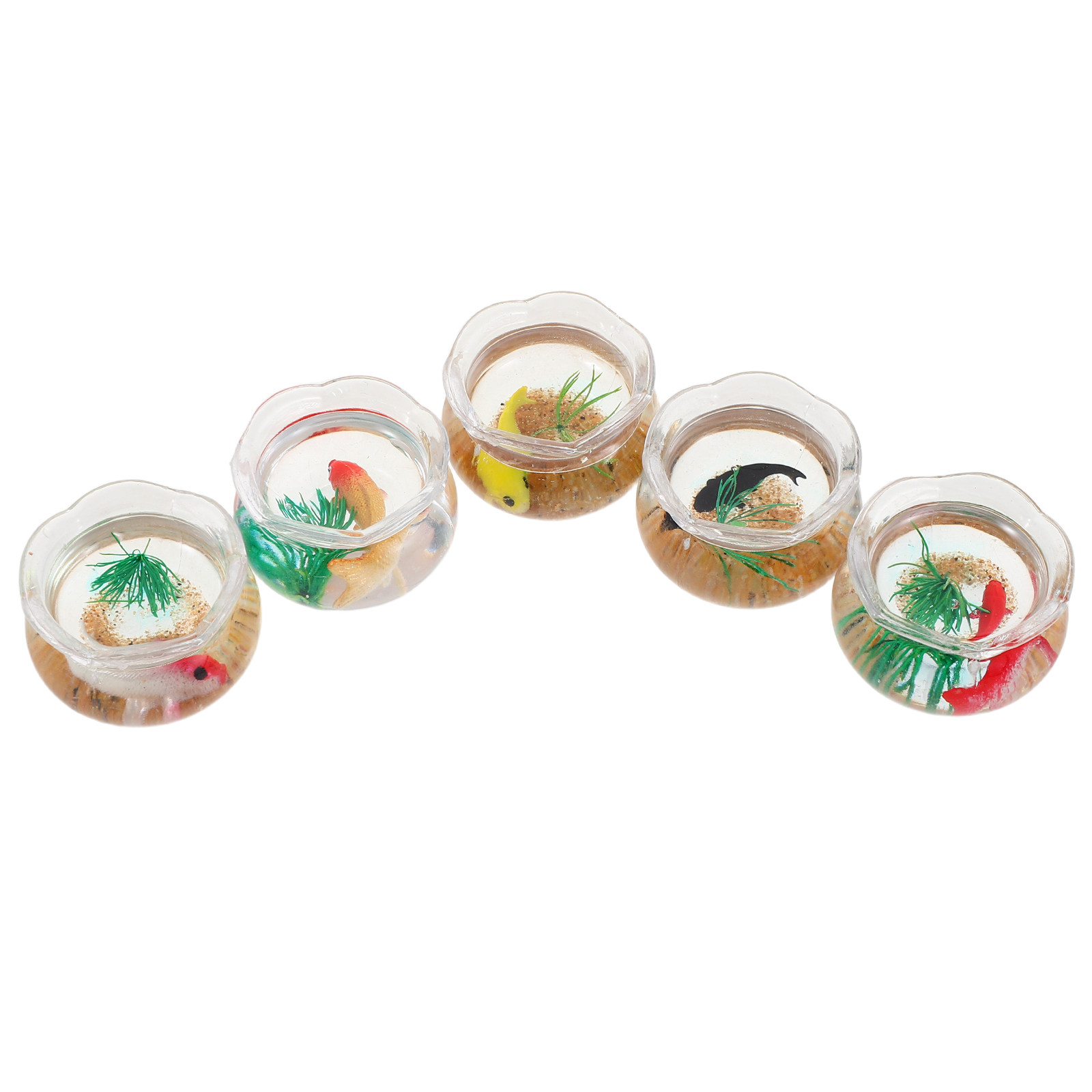Planted Tank - 5 aquariums miniatures pour poissons Koi