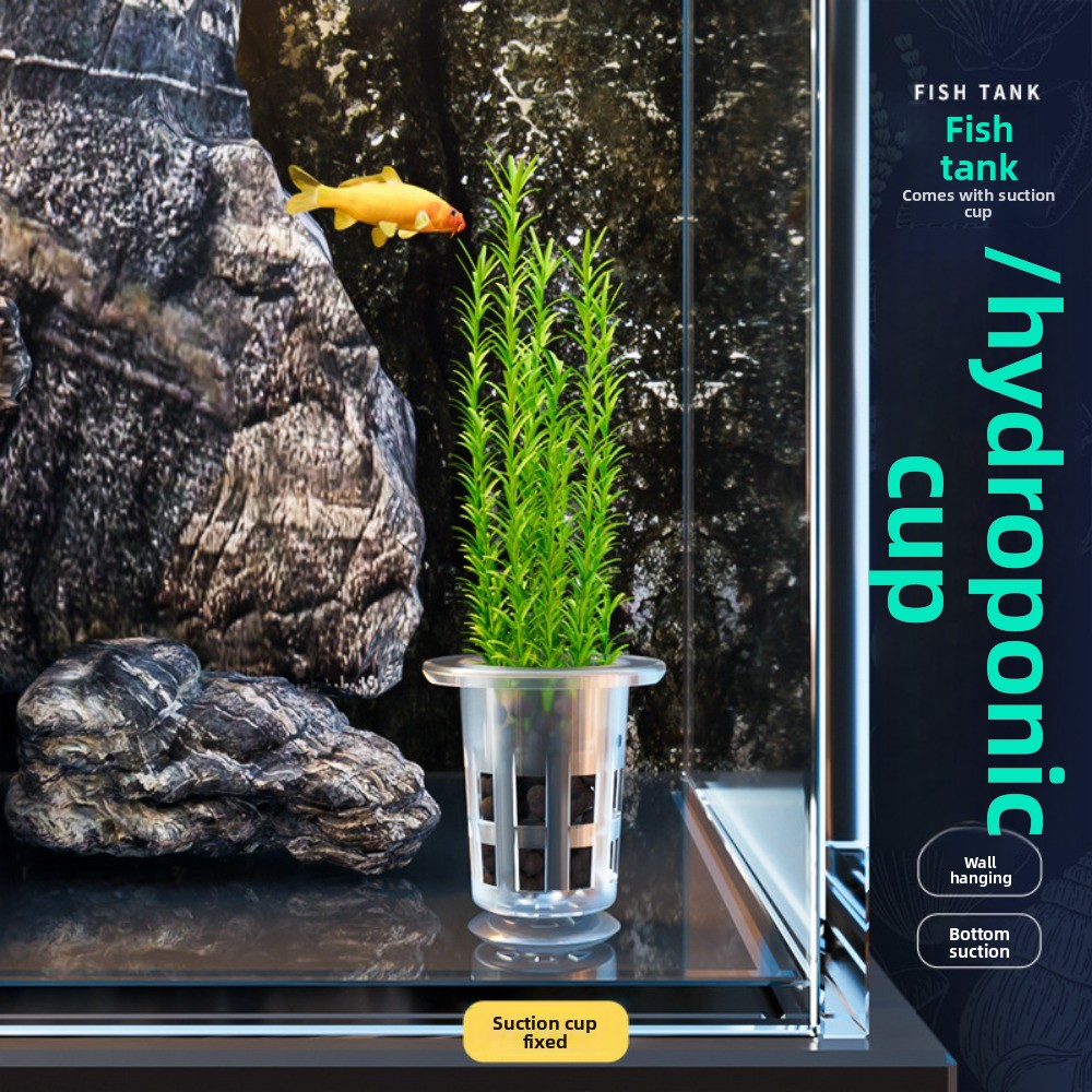 10 pots hydroponiques transpar - Plant Aquarium Pot avis et prix