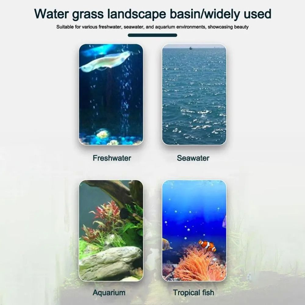 10 pots hydroponiques transpar - Plant Aquarium Pot avis et prix