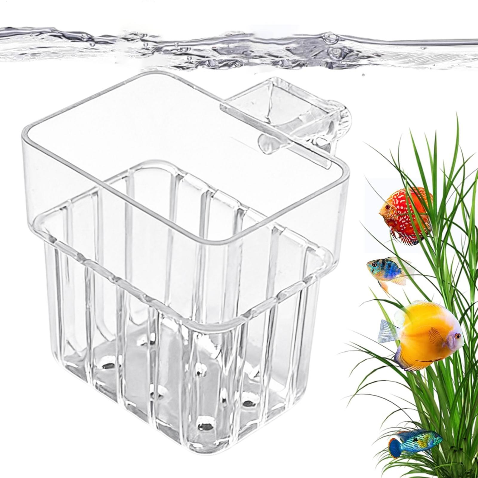 Pot transparent suspendu pour  - Plant Aquarium Pot avis et prix