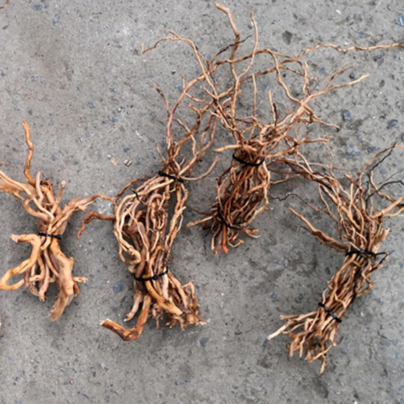 Tronc d'arbre naturel en bois  - Aquarium Driftwood avis et prix