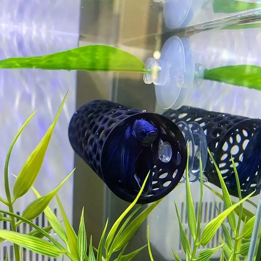 Cachette pour poissons d'aquar - Aquarium Plants Live avis et prix