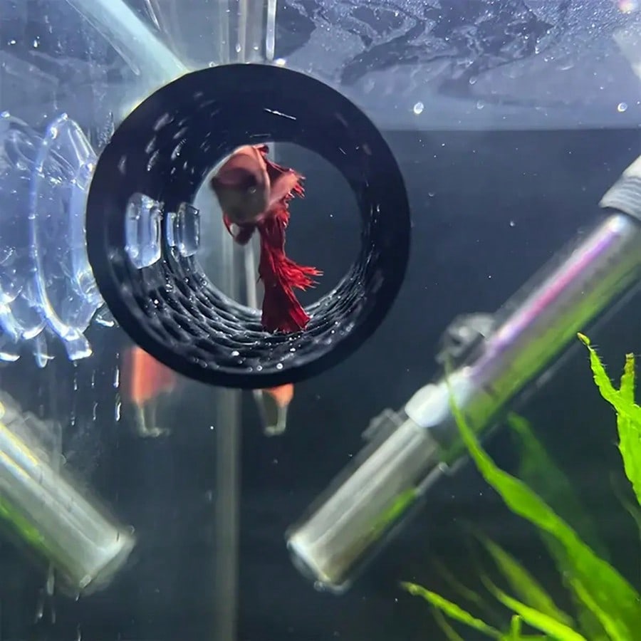 Cachette pour poissons d'aquar - Aquarium Plants Live avis et prix