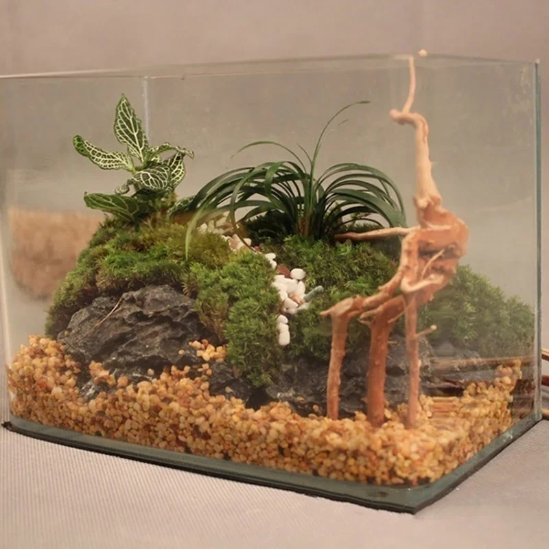 Tronc d'Arbre Naturel en Bois  - Aquarium Driftwood avis et prix
