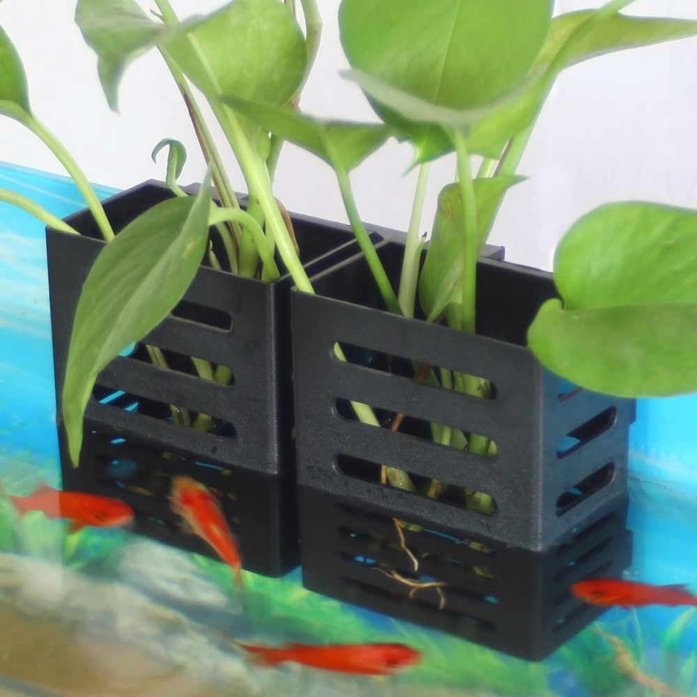 Support pour plantes d'aquariu - Aquarium Plant Holder avis et prix