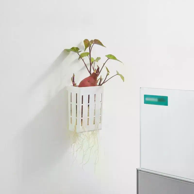 1 pièce Panier de support hydr - Plant Aquarium Pot avis et prix