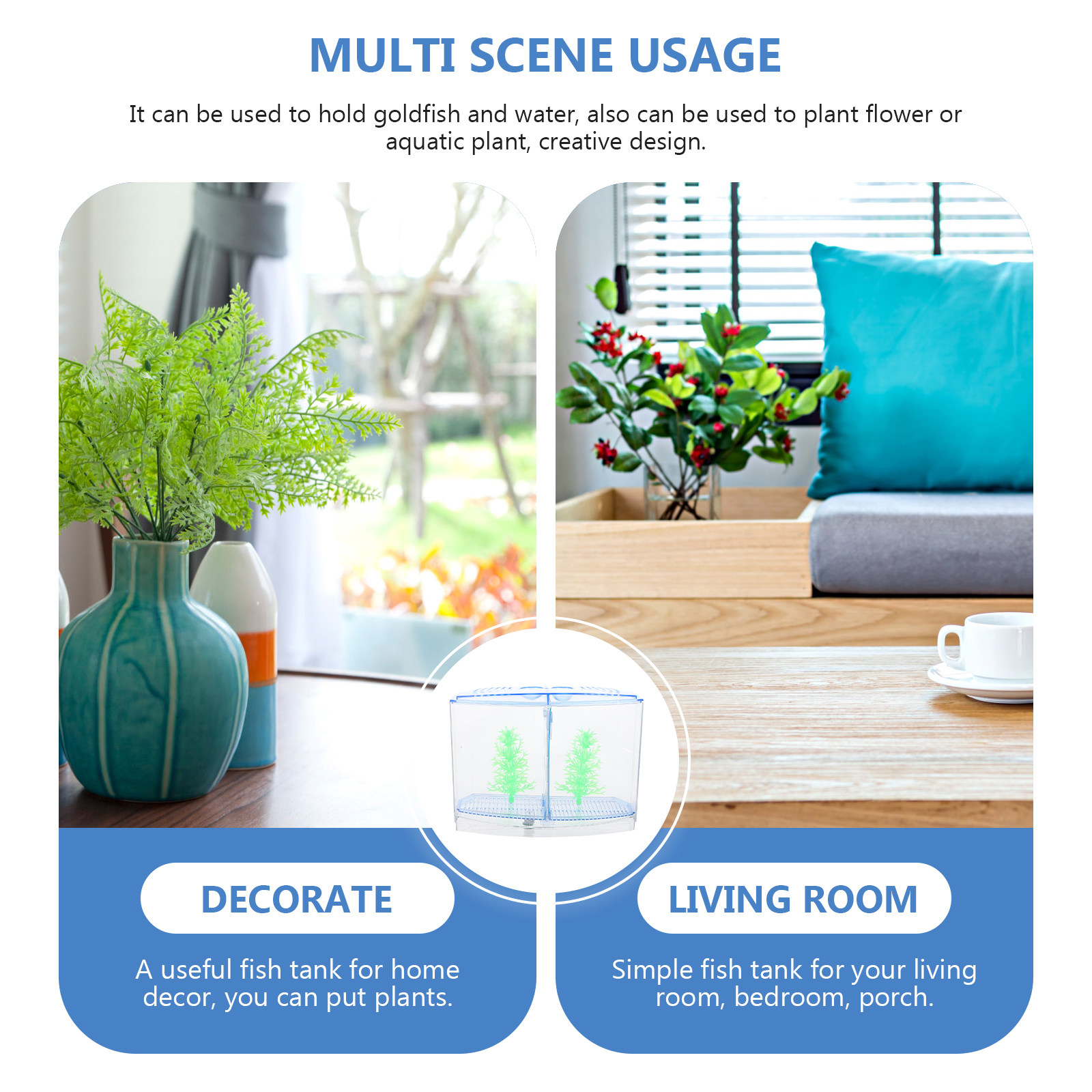 1 ensemble d'aquarium de burea - Aquarium Plants Live avis et prix