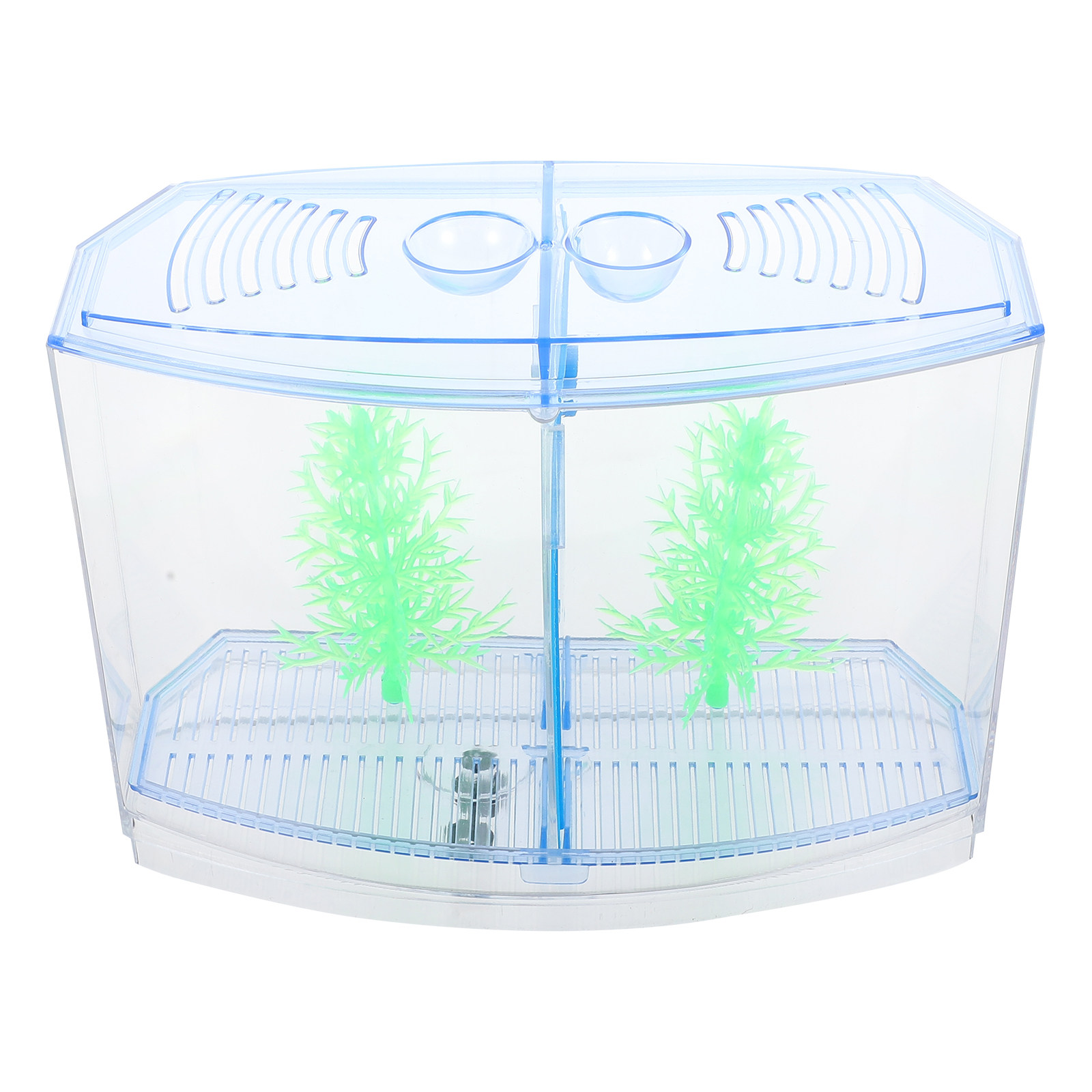 1 ensemble d'aquarium de burea - Aquarium Plants Live avis et prix