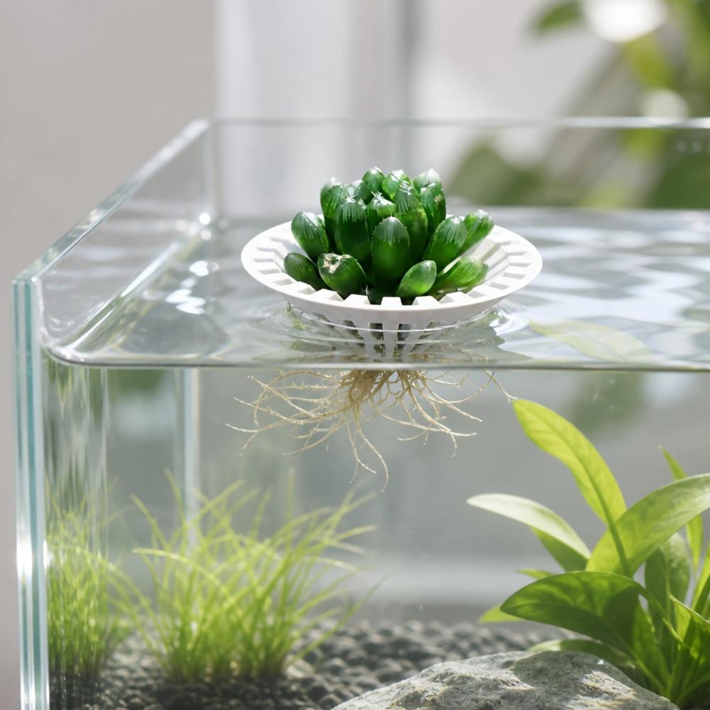 Pot hydroponique pour aquarium - Plant Aquarium Pot avis et prix