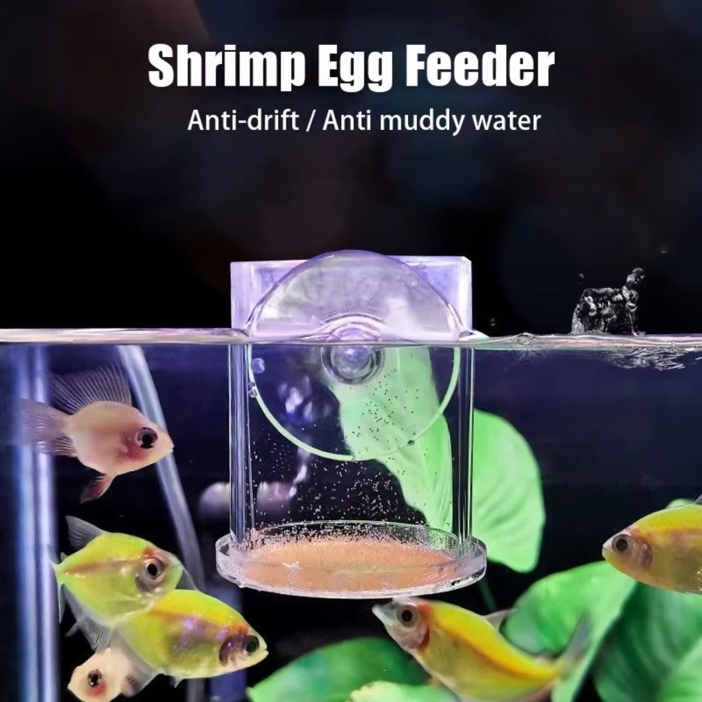 Mangeoire à crevettes en saumu - Aquarium Fertilizer avis et prix