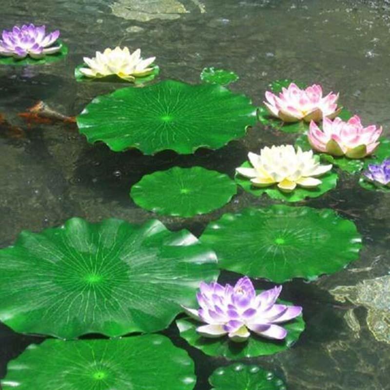 Nouvelles feuilles de lotus ar - Aquarium Plant Substrate avis et prix
