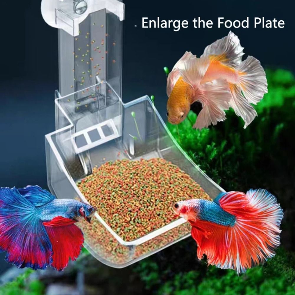 Tube d'alimentation Transparen - Aquarium Fertilizer avis et prix