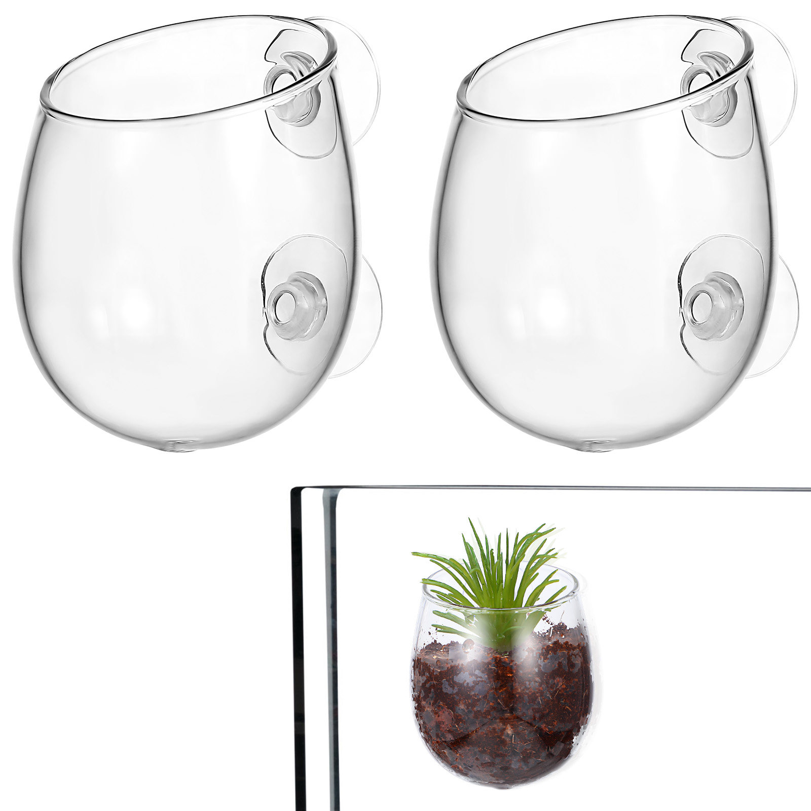 Supports pour plantes d'aquari - Live Plant Aquarium avis et prix