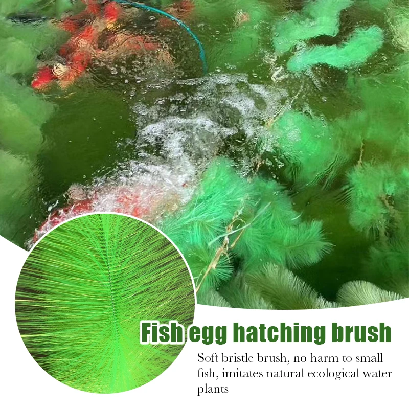 Plante artificielle pour aquar - Live Plant Aquarium avis et prix