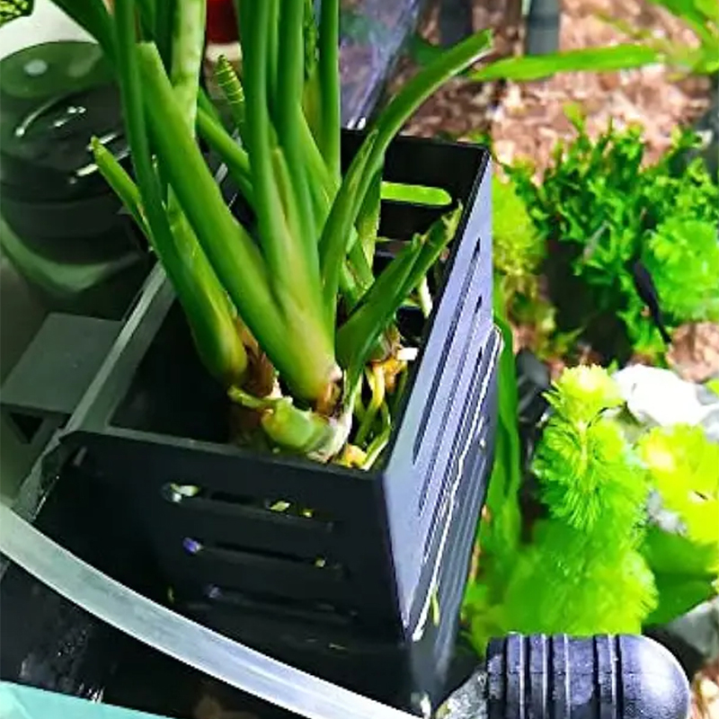 Mir de rangement en plastique  - Aquarium Plants Live avis et prix