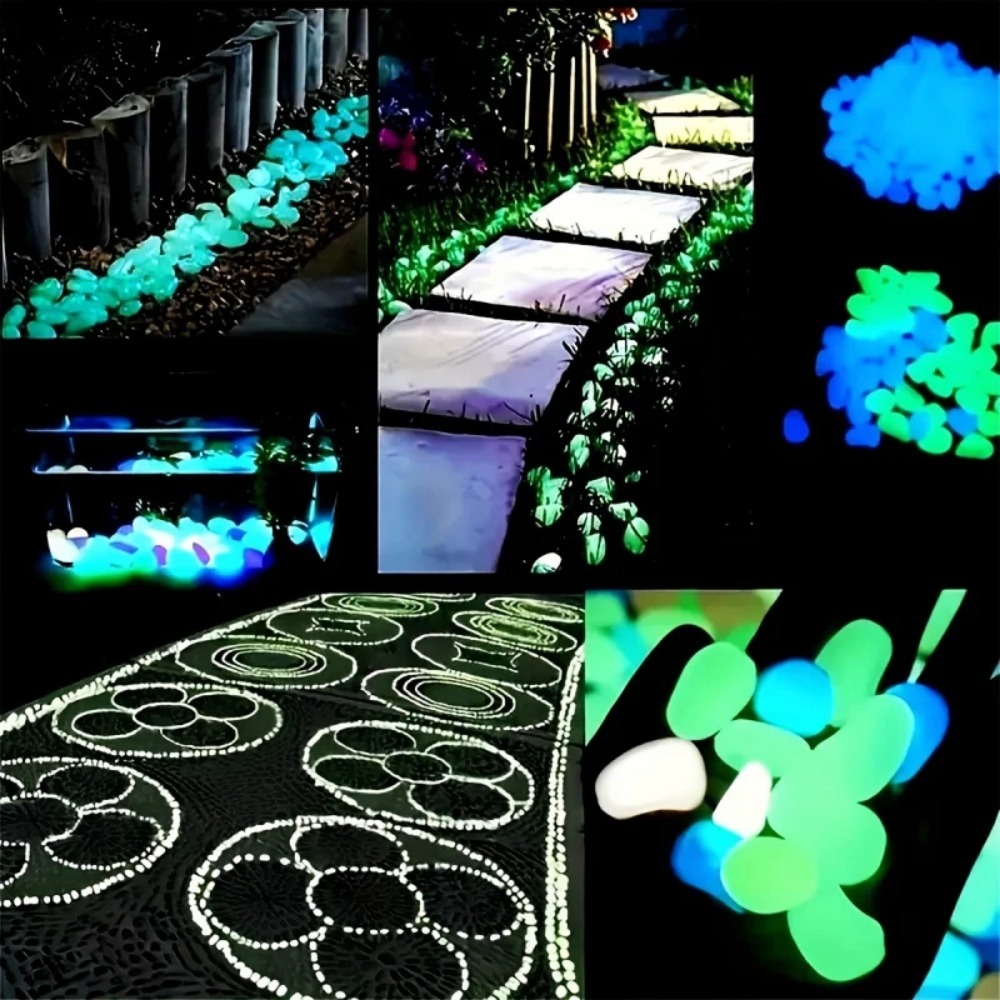 100 pièces qui brillent dans l - Plant Aquarium Pot avis et prix