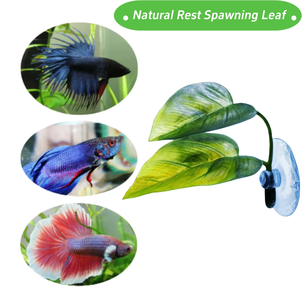Décor d'aquarium pour animaux  - Aquarium Plants Live avis et prix