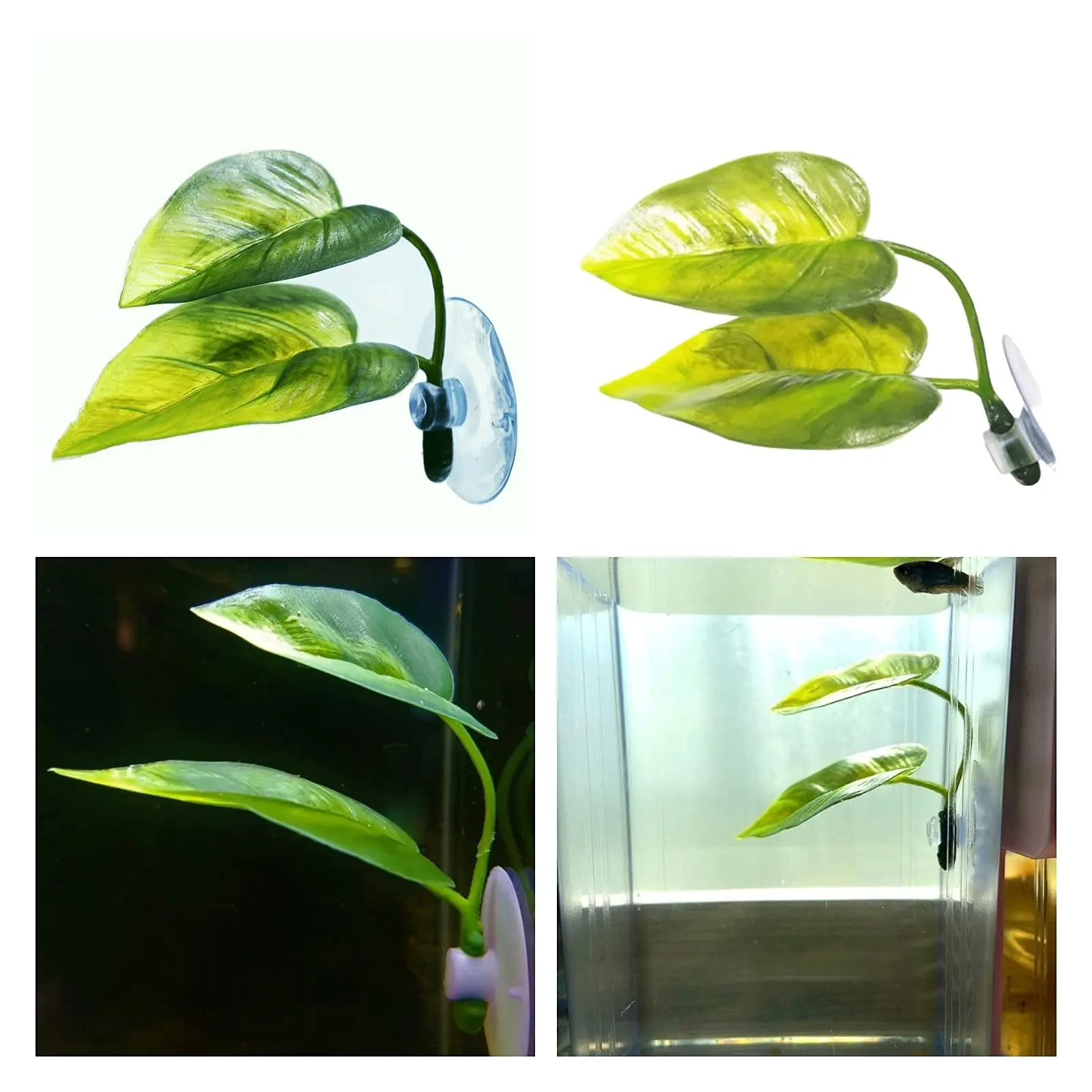 Décor d'aquarium pour animaux  - Aquarium Plants Live avis et prix
