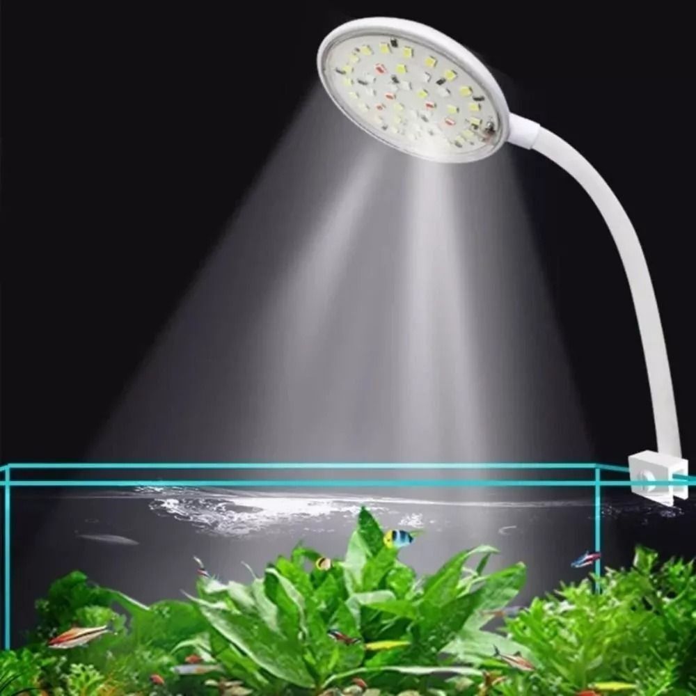 Mini Lampe LED Réglable à réin - Live Plant Aquarium avis et prix
