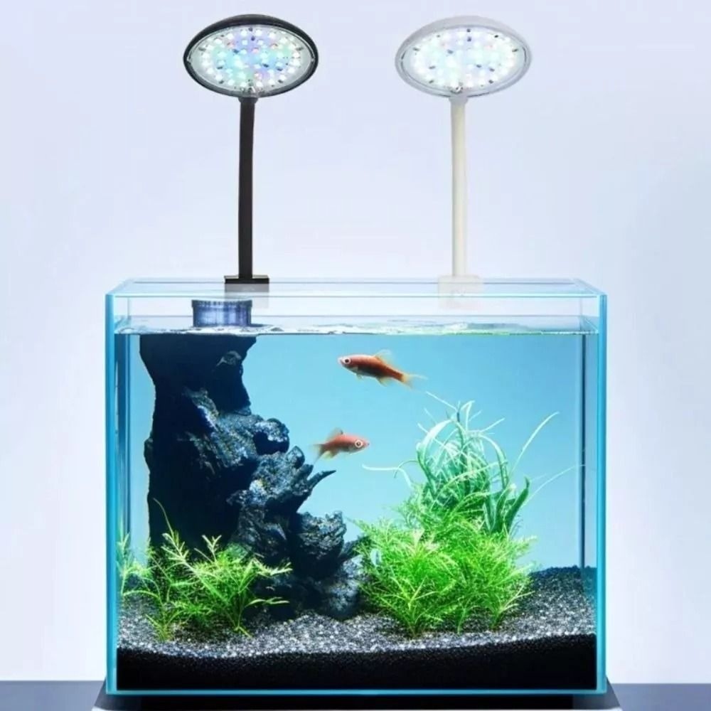 Mini Lampe LED Réglable à réin - Live Plant Aquarium avis et prix