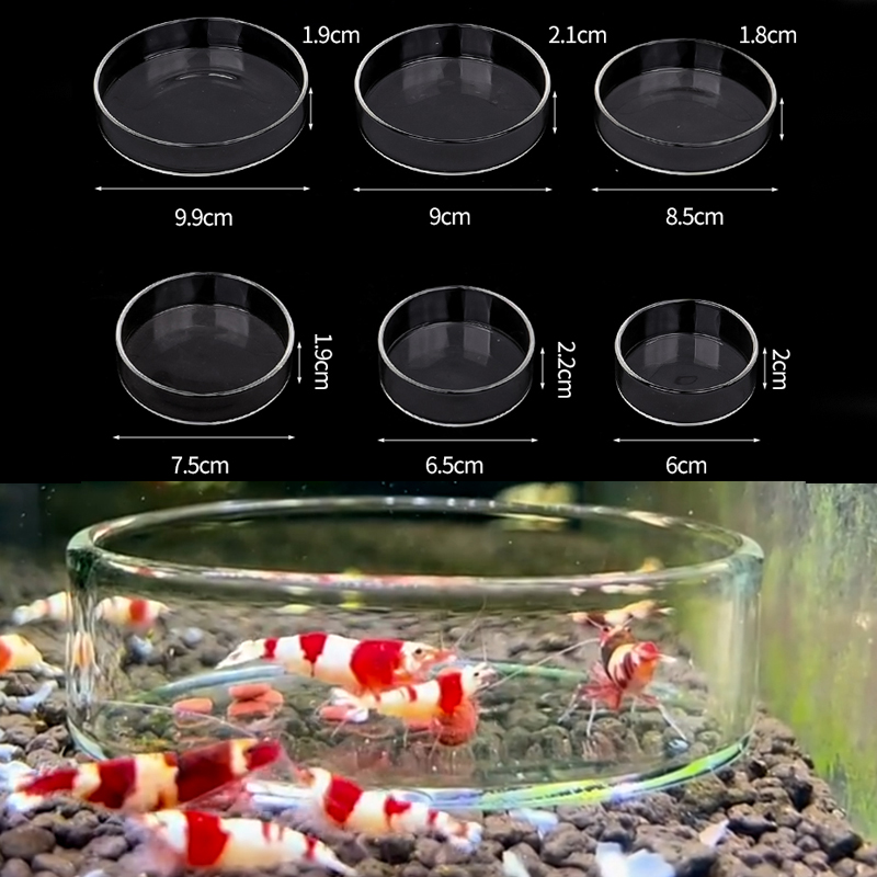 Plat d'alimentation pour creve - Aquarium Fertilizer avis et prix
