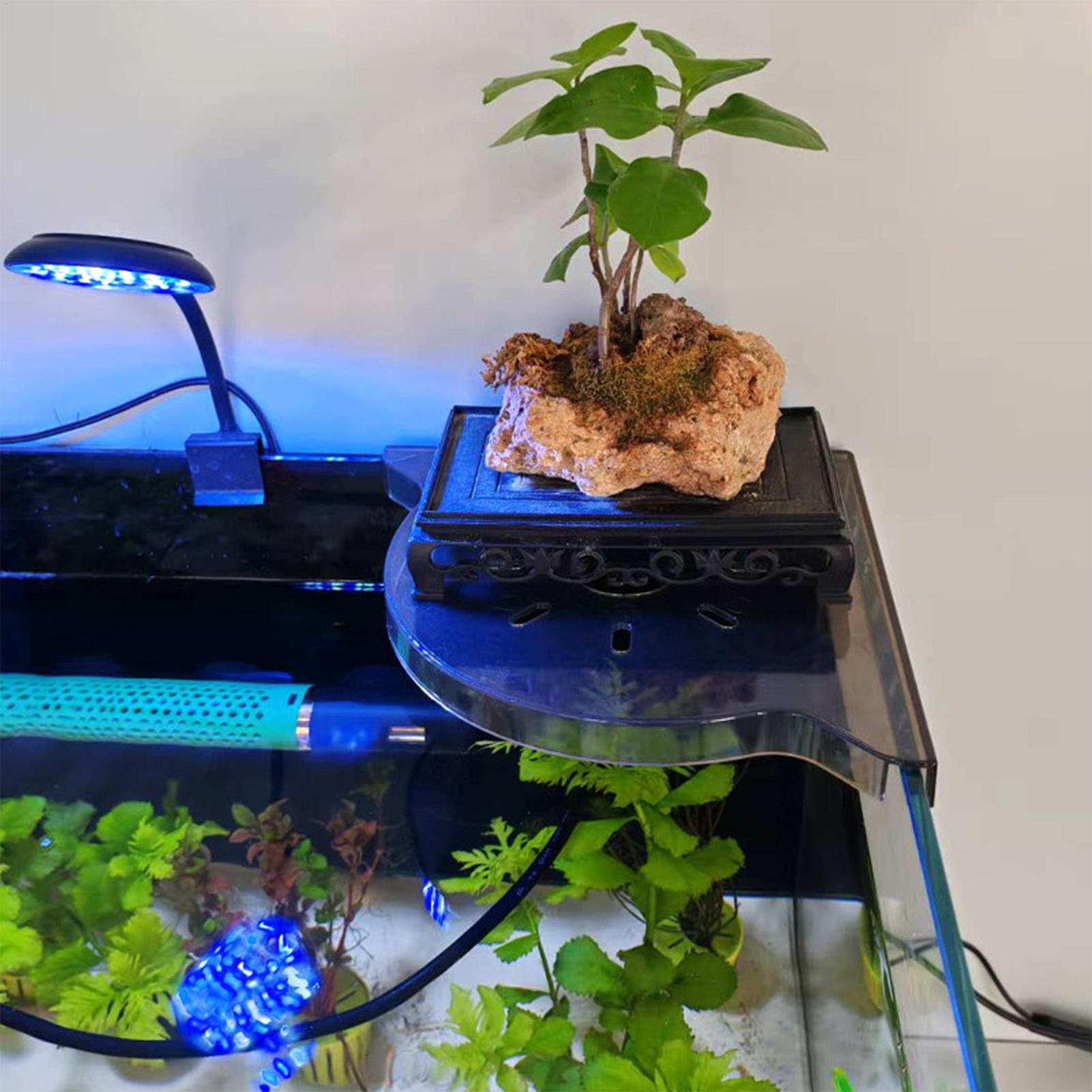Support d'angle triangulaire p - Aquarium Plants Live avis et prix
