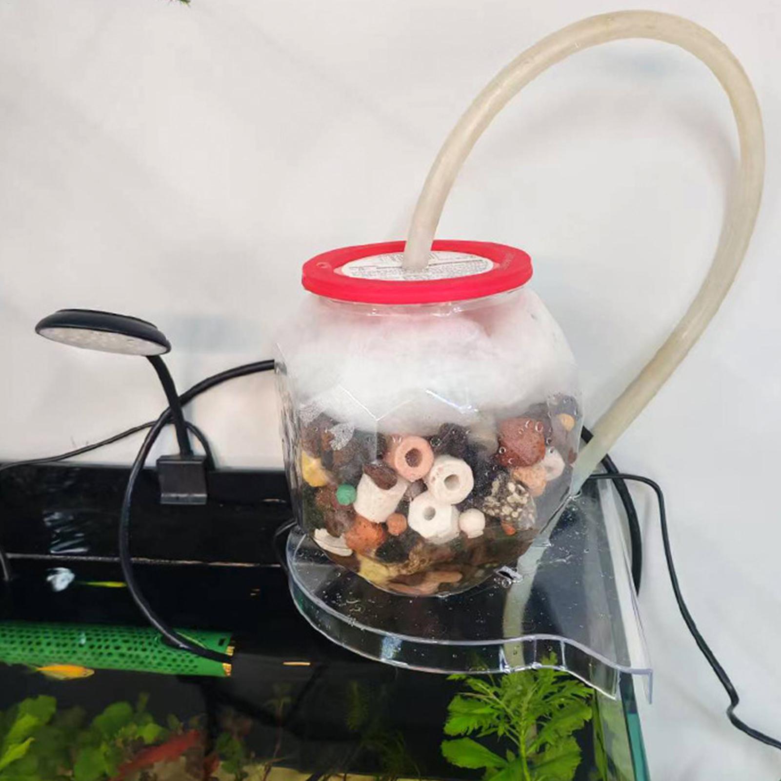 Support d'angle triangulaire p - Aquarium Plants Live avis et prix