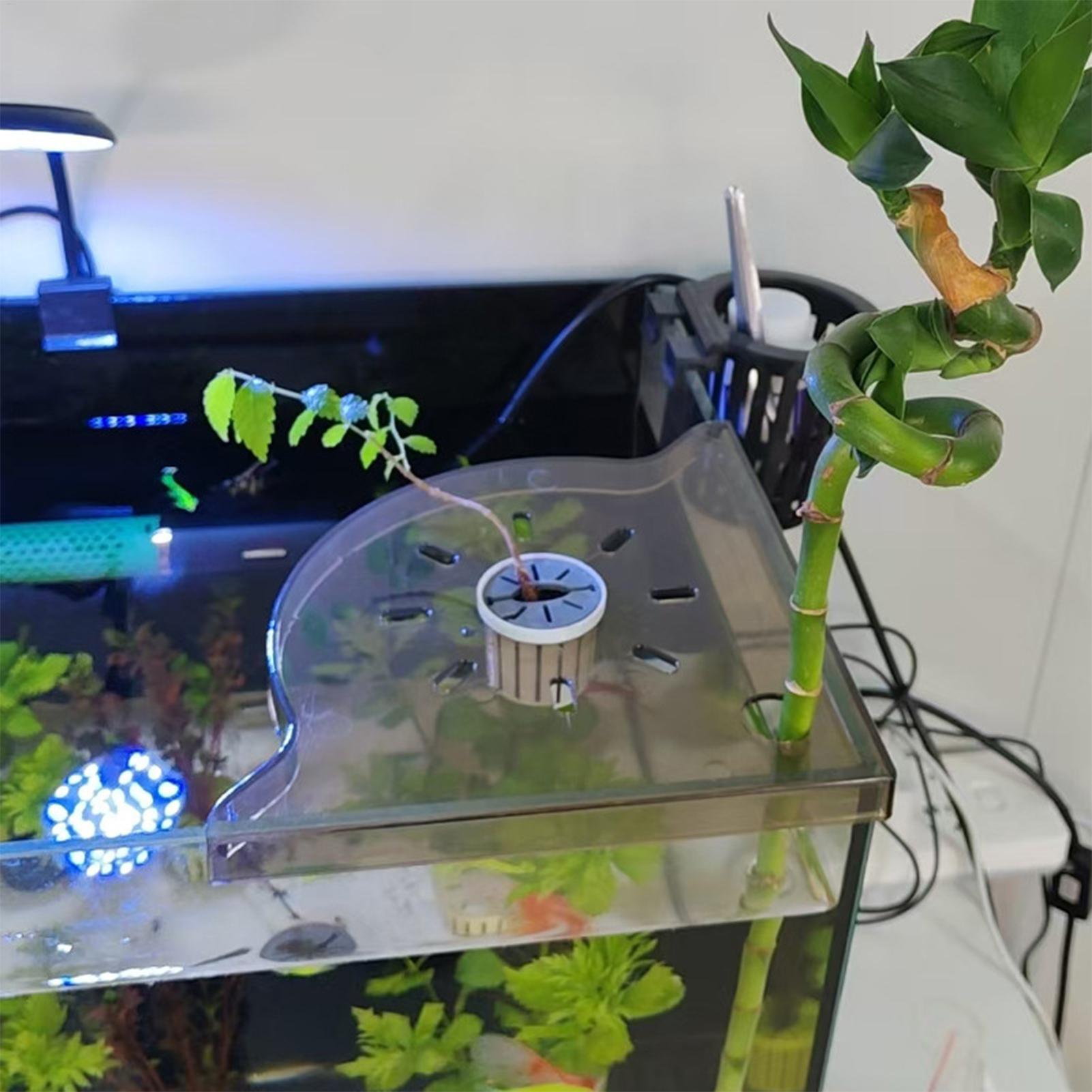 Support d'angle triangulaire p - Aquarium Plants Live avis et prix