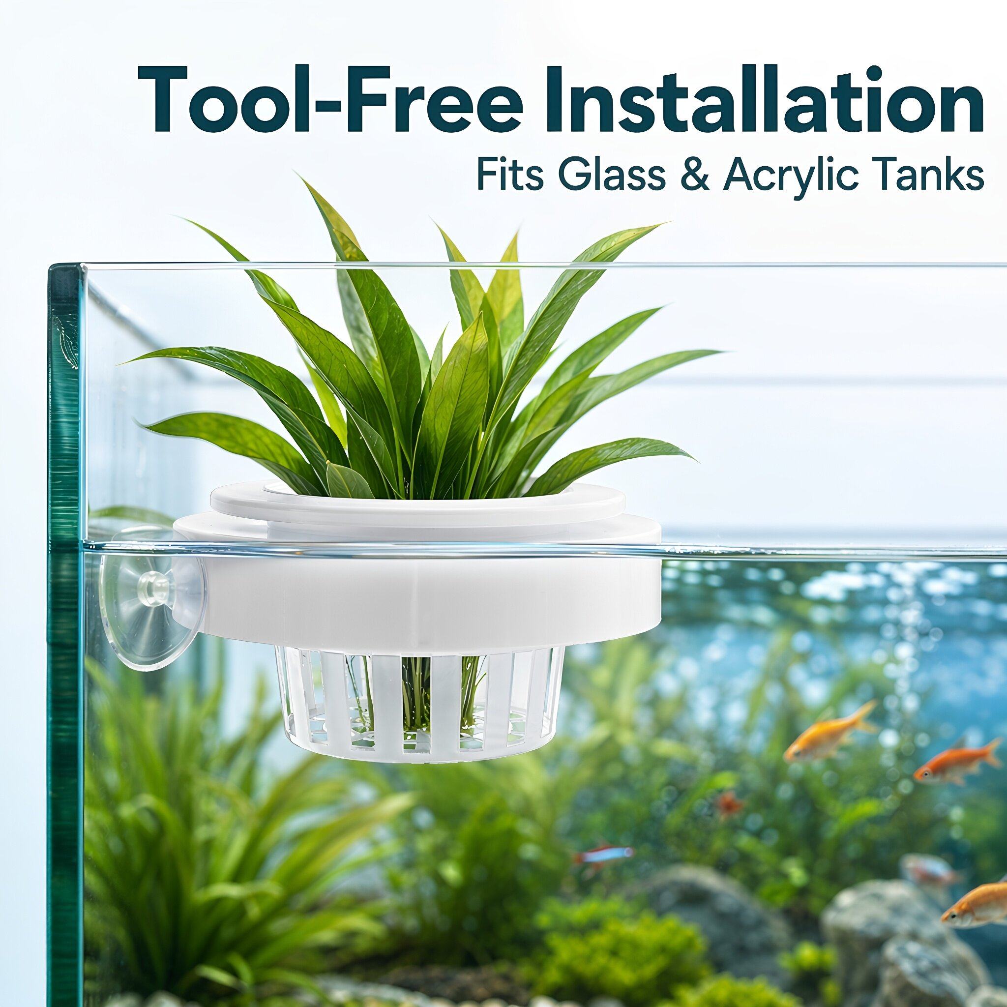 4 paniers flottants pour plant - Planted Tank avis et prix