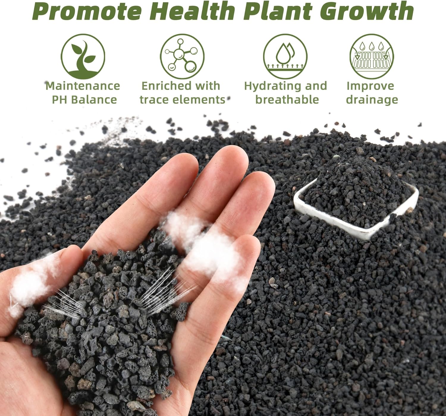 3 lb de matériaux filtrants no - Plant Aquarium Pot avis et prix
