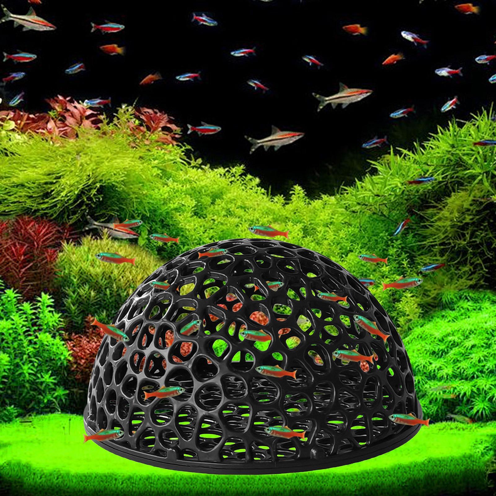 Aquarium crevettes maison grot - Aquarium Plants Live avis et prix