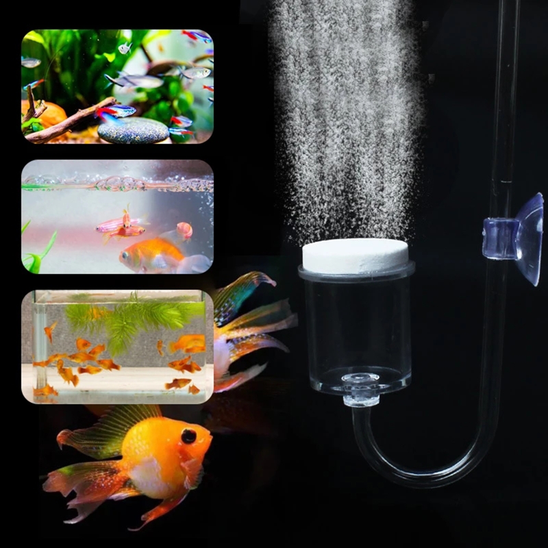 Diffuseur de CO2 pour aquarium - Aquarium Plants Live avis et prix