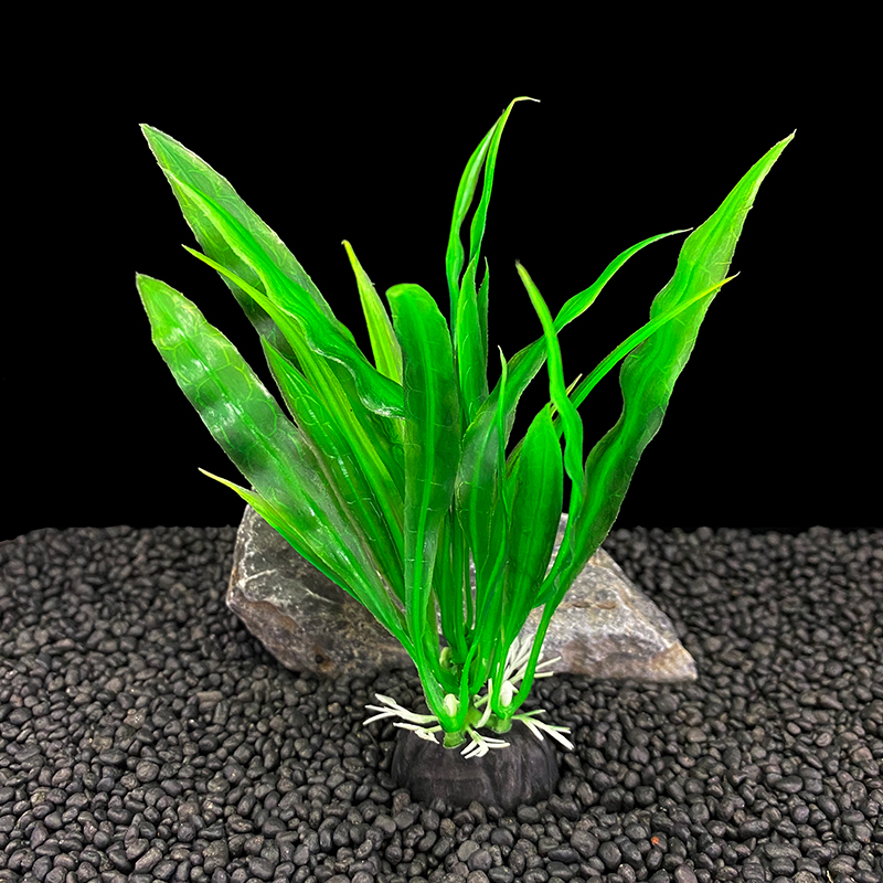 Lot de 6 plantes d'aquarium, d - Aquarium Plants Live avis et prix
