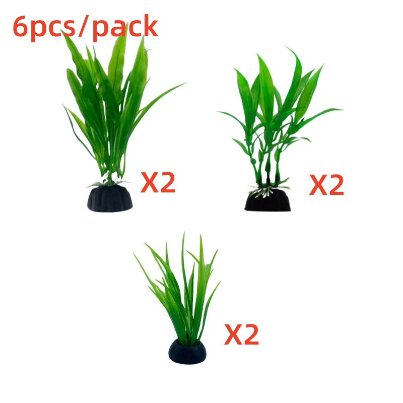 Lot de 6 plantes d'aquarium, d - Aquarium Plants Live avis et prix